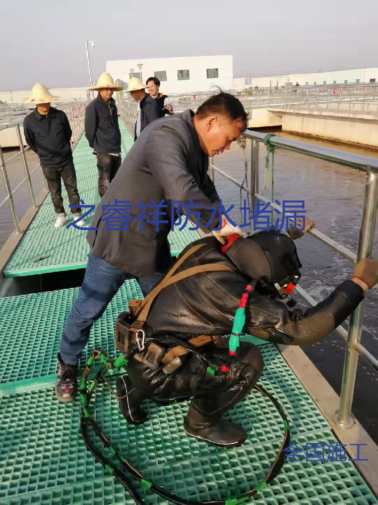 污水池水下安装维修